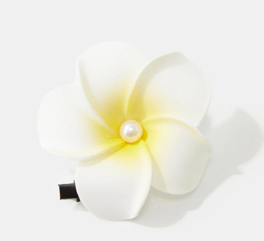 Solid hair clip